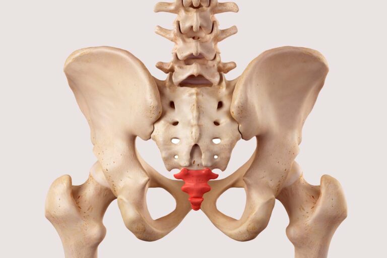 Coccyx pain | Dr. Mardini Academy